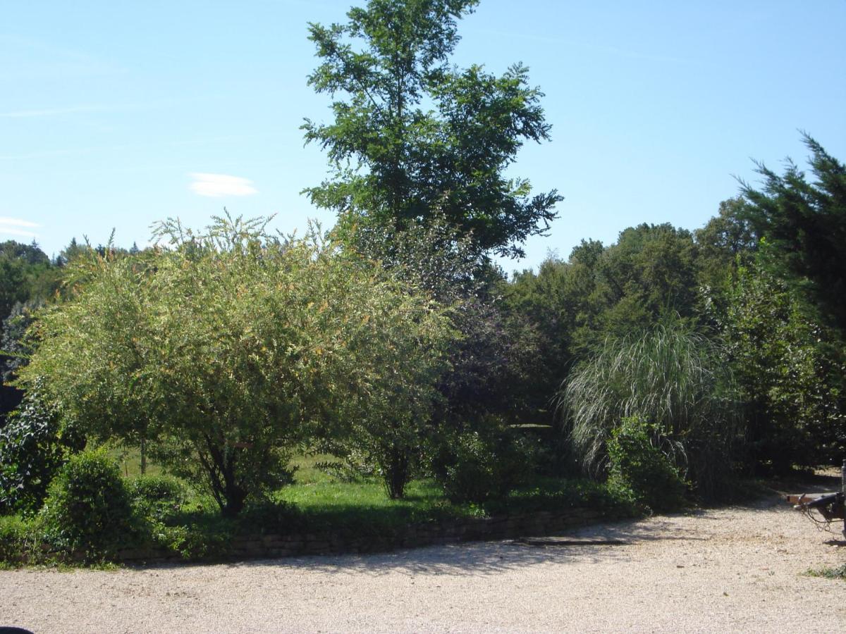 Dommartin-Les-Cuiseaux L'Oree Des Bois מראה חיצוני תמונה